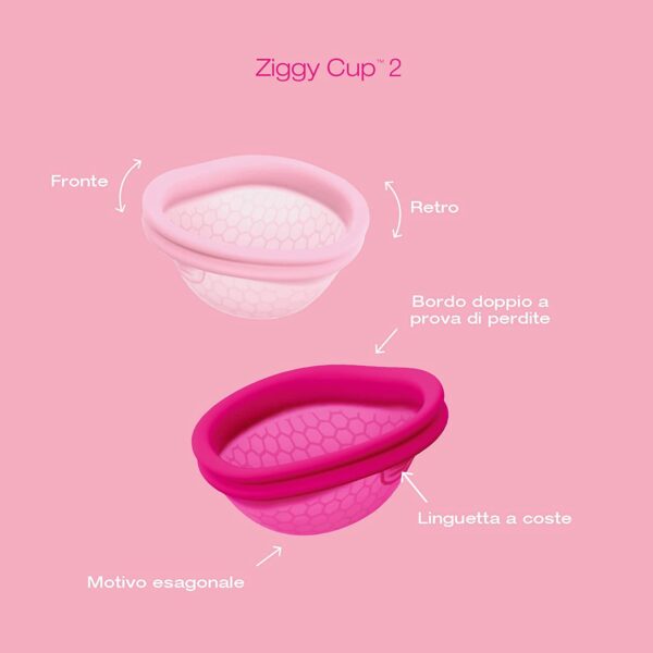 Ziggy-Cup-2